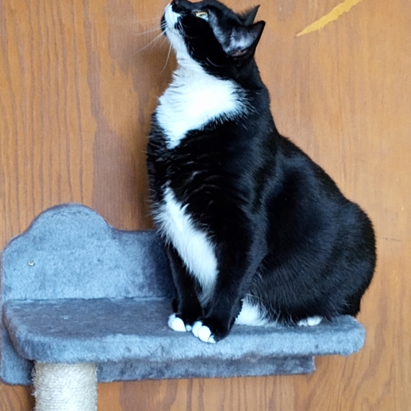 Meet your Posher, Katie - Picture 12 of 16